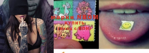 хмурый Богородск