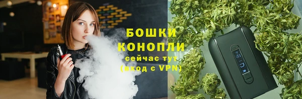 хмурый Богородск