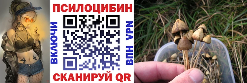купить наркотик  Нарьян-Мар  Галлюциногенные грибы Psilocybine cubensis 